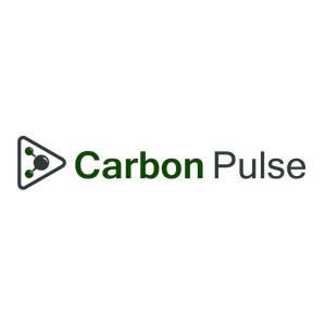 Carbon Pulse Logo 300X300 (1)